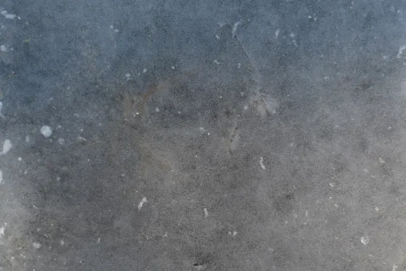 Kasyno Coins Game Wsparcie